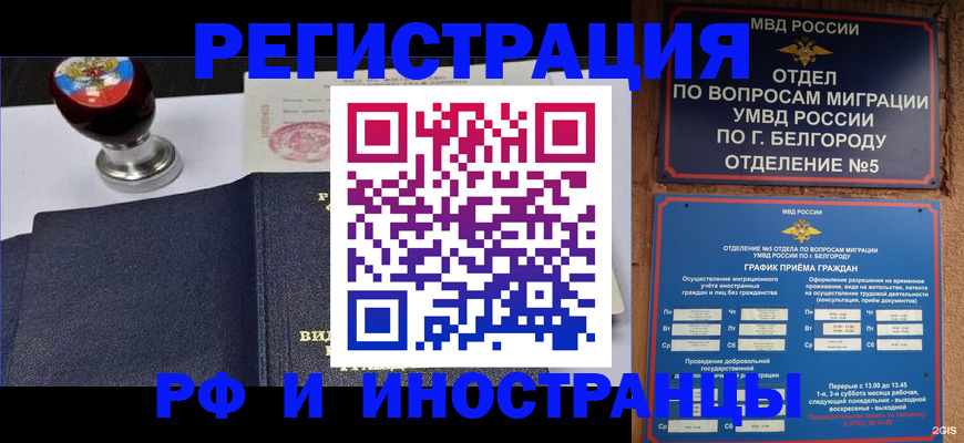 временная регистрация поиск в Камчатском крае